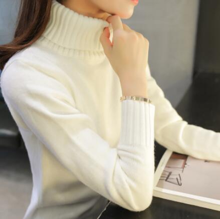Women Knitted Sweaters Pullovers Turtleneck Long Sleeve