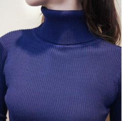 Autumn & Winter Women Knitted Dress Turtleneck Sweater Dresses