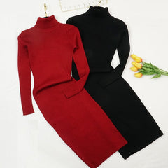 Autumn & Winter Women Knitted Dress Turtleneck Sweater Dresses