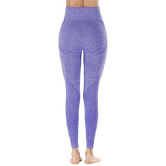Seamless Women Fitness Leggings